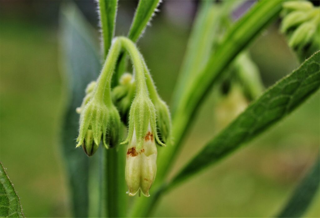 薄毛対策に効果的な頭皮クレンジングの方法とは？