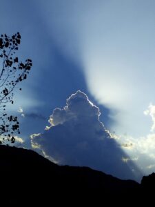 薄毛隠しで絶対にやってはいけないことは何ですか？