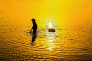 つむじの薄毛対策に効果的な育毛剤は？