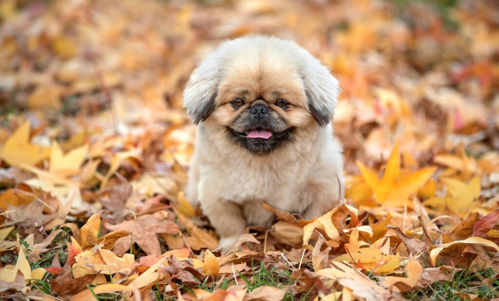 つむじはげの女性が隠すためにおすすめの髪型は？