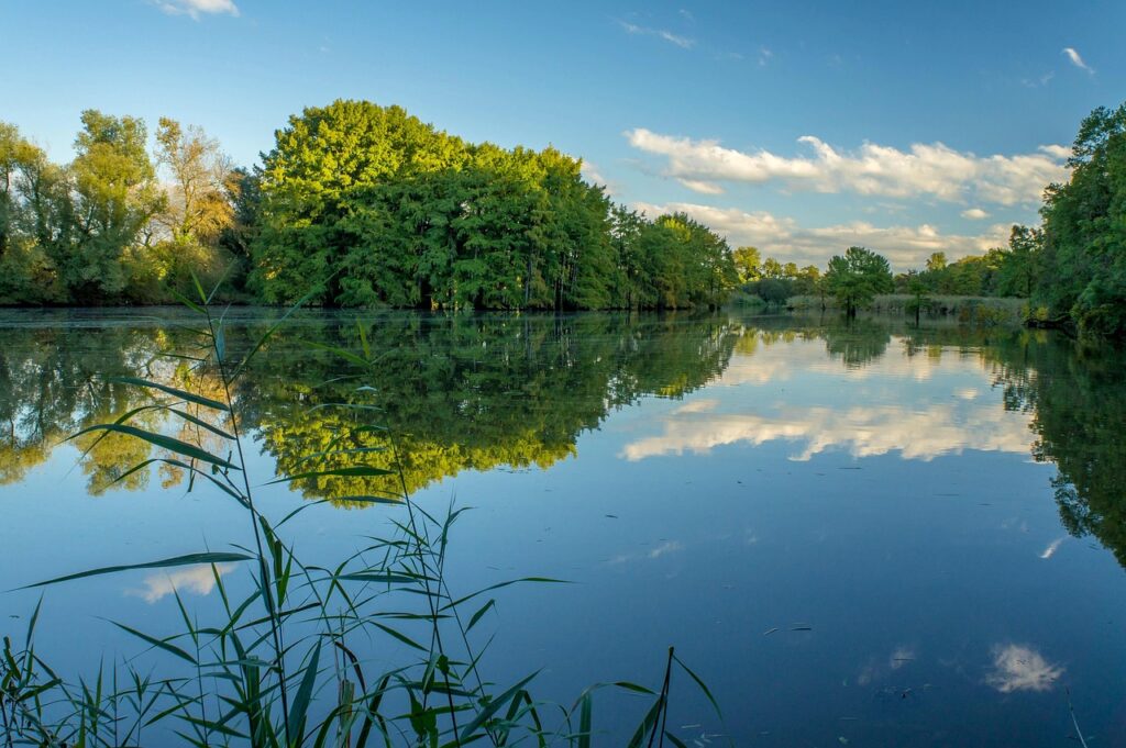 つむじはげの隠し方はどうすればいい？