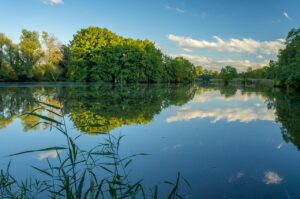 つむじはげの隠し方はどうすればいい？