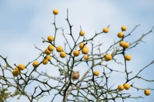 つむじはげを隠す方法にはどんなものがある？