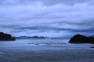 はげ隠しに最適なパーマの施術方法は？