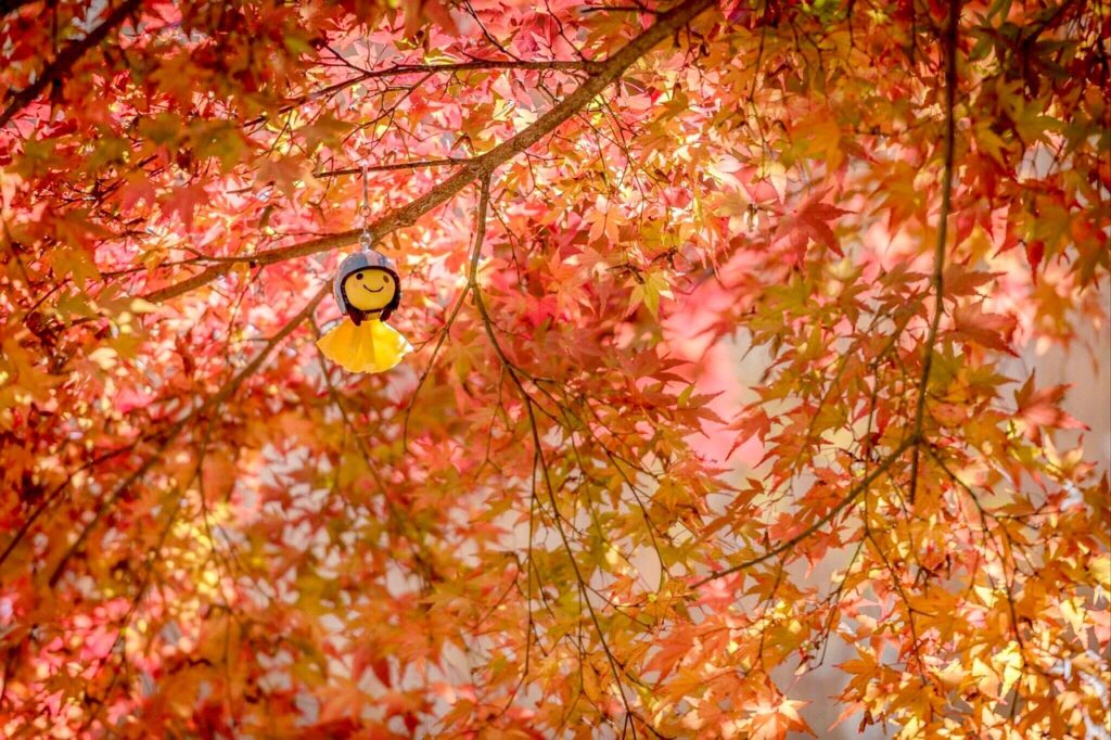 坊主にしたらモテた理由とは？