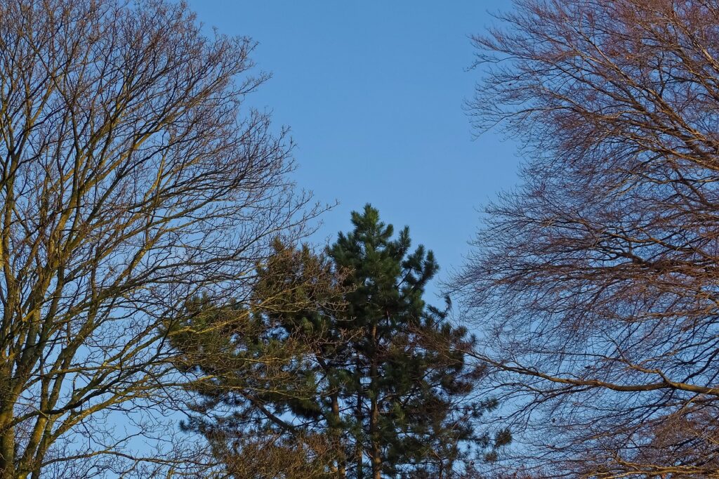 てっぺんはげを隠すためのおすすめ髪型は？