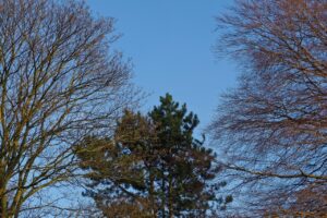 てっぺんはげを隠すためのおすすめ髪型は？