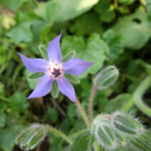 パーマ薄毛に悩む方におすすめの対策は？