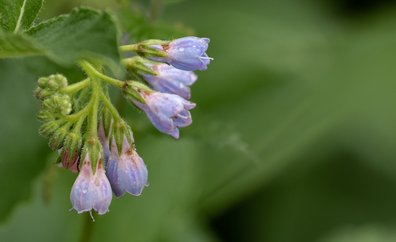薄毛対策に効果的な市販のシャンプーおすすめは？