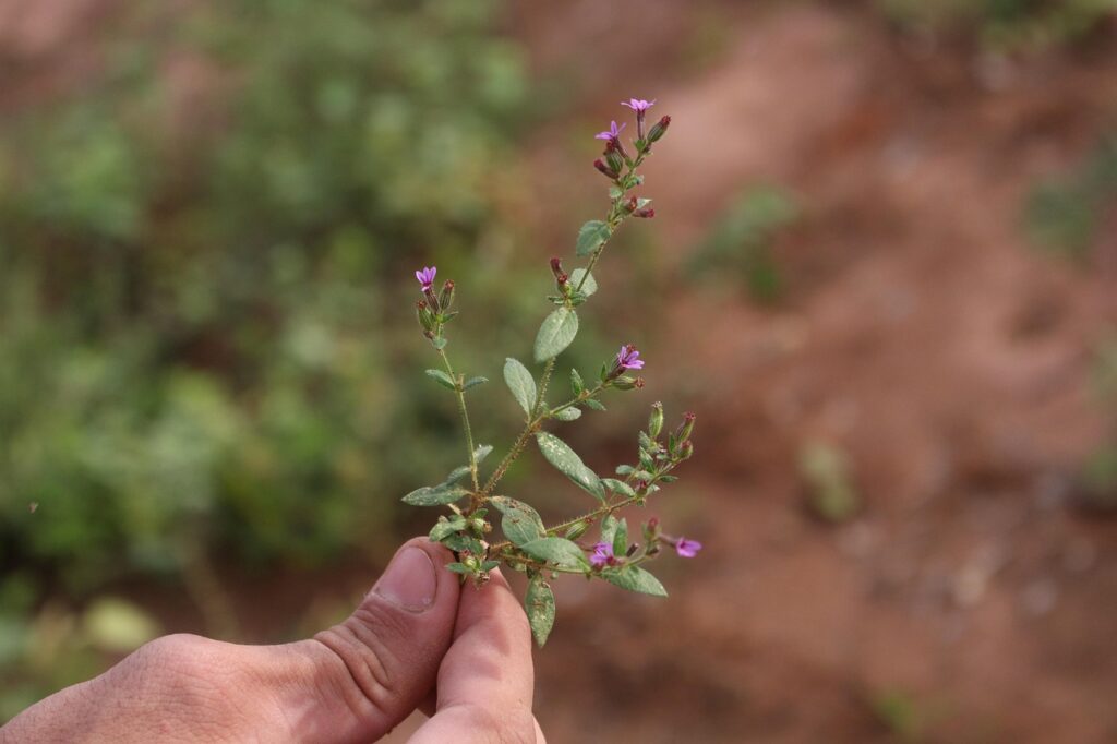 薄毛対策に効果的な生活習慣の改善策は？