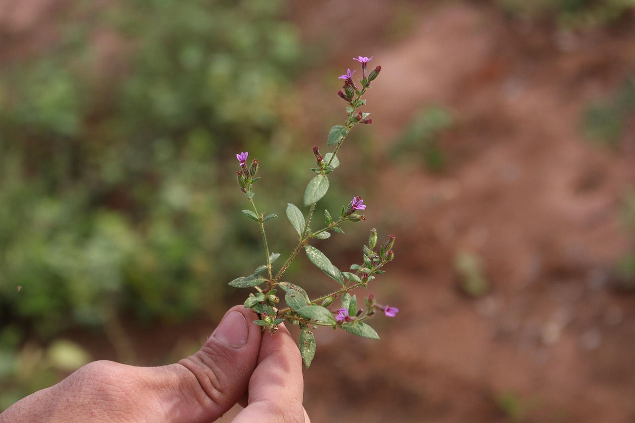 薄毛対策に効果的な生活習慣の改善策は？