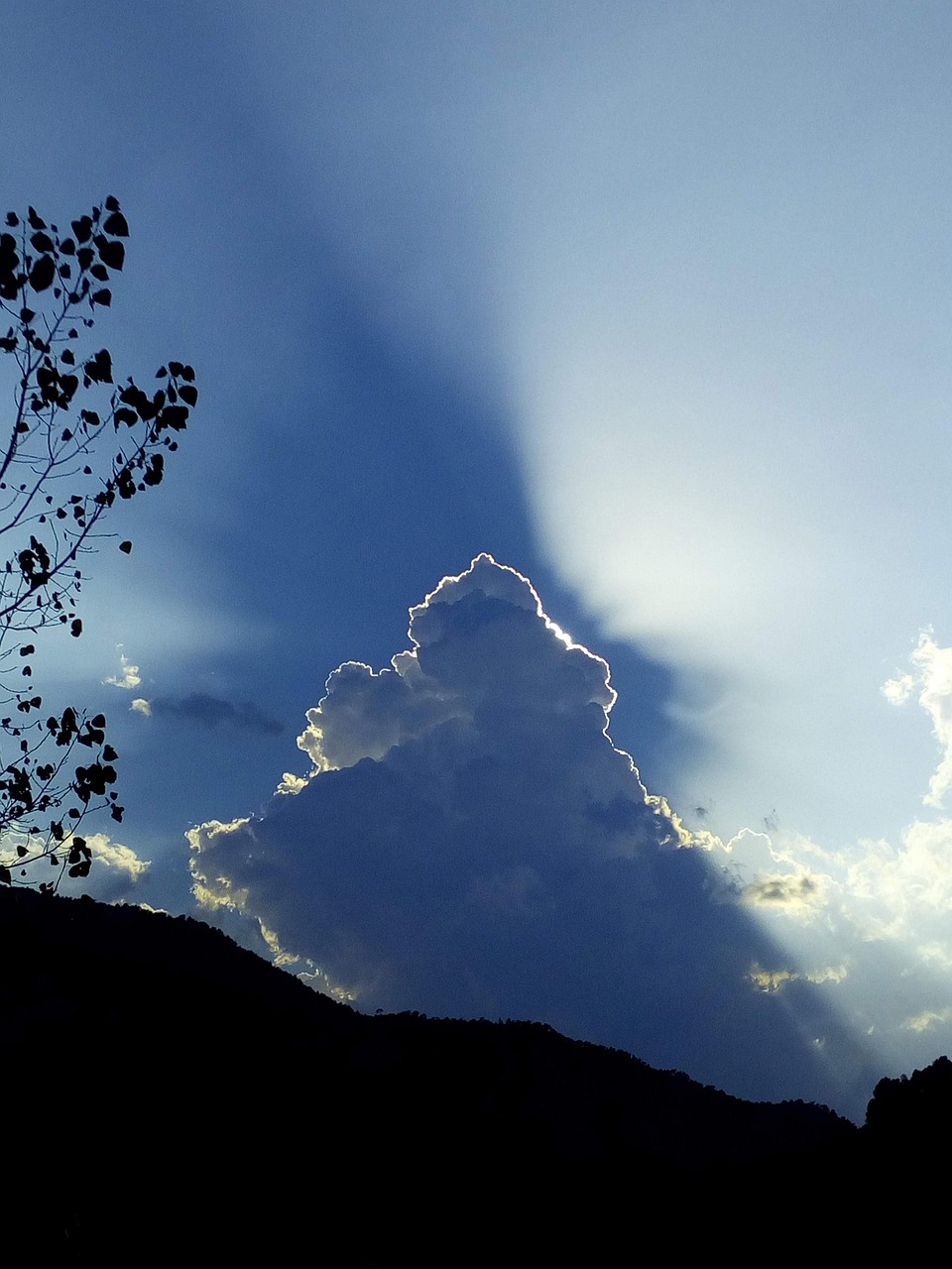 薄毛隠しに最適なジェルのおすすめメンズアイテムは？