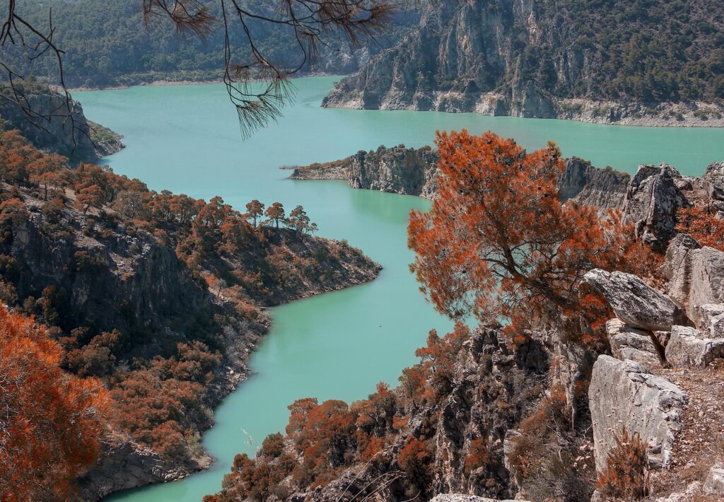 薄毛隠しスプレーの使い方と効果的なコツは？