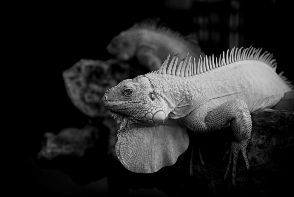 つむじ薄毛の人がトップだけ細い髪を改善する方法は？