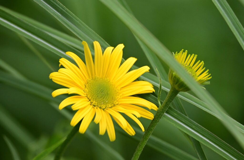 つむじ薄毛をカバーしてコミュ力が上がる髪型は？