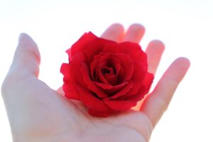 つむじ薄毛対策でまず買うべきアイテムは？