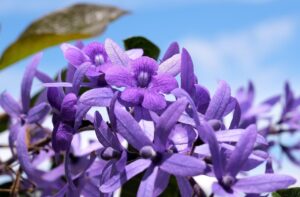 つむじの薄毛に最適な髪型は？七三分けとアップバングの比較と評判、おすすめはどれ？