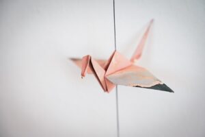 つむじの薄毛改善に成功した体験談とおすすめはどっちがいい？比較してみました！