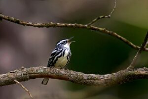 つむじの薄毛はどうにかできる？