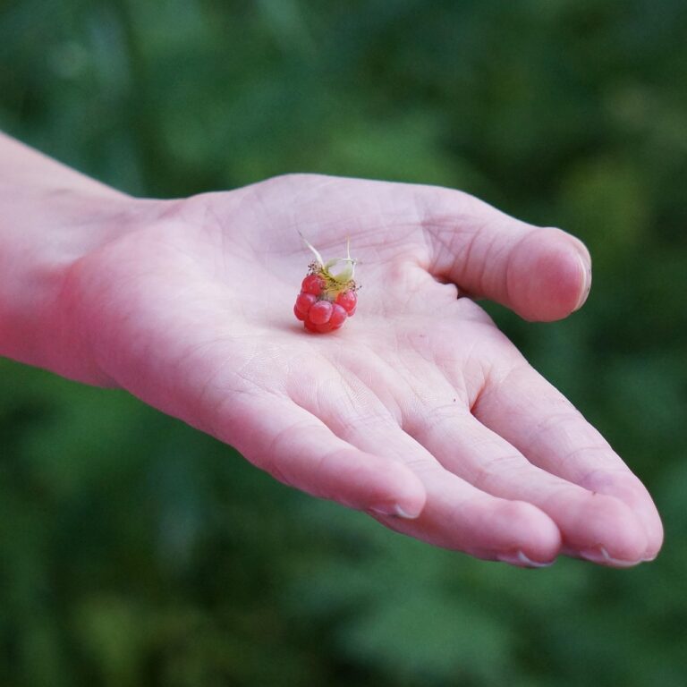 つむじの薄毛を上手に隠す方法は？
