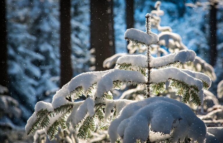 つむじの髪型で失敗しないためのポイントは？