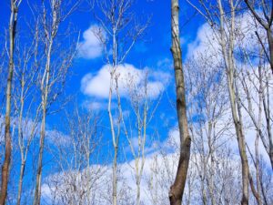 つむじハゲの隠し方を安く済ませる方法はどれがいい？比較や評判、おすすめも紹介！