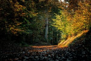 つむじ薄毛にパーマは効果的？失敗しないスタイル選びのポイントは？